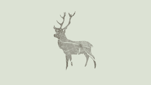 795239 (a): :1920x1080